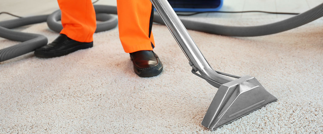 clean carpet in edmonton